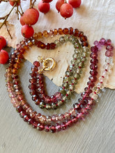 Load image into Gallery viewer, Multi Garnet and Zircon Necklace
