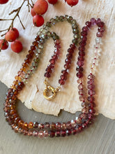 Load image into Gallery viewer, Multi Garnet and Zircon Necklace