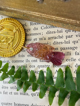 Carica l'immagine nel visualizzatore di Gallery, 14k Carved Bi Color Tourmaline Fish Charm LARGE #3