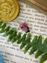 Carica l'immagine nel visualizzatore di Gallery, Carved Bi Color Tourmaline TINY Fish Charm 2