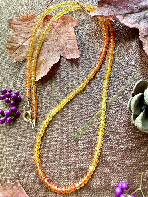 14k Slim Songea Sapphire Necklace