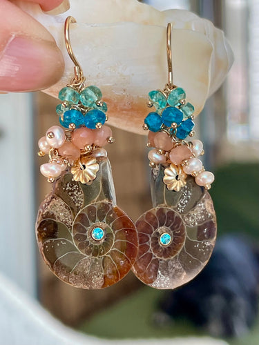 Ammonite Fossil Earrings